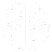 AI & Machine Learning Solutions